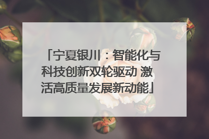 宁夏银川：智能化与科技创新双轮驱动 激活高质量发展新动能