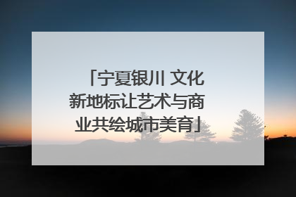 宁夏银川 文化新地标让艺术与商业共绘城市美育