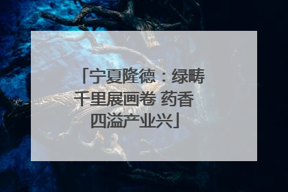 宁夏隆德：绿畴千里展画卷 药香四溢产业兴