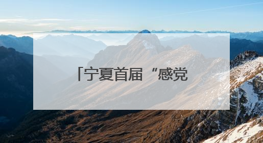 宁夏首届“感党恩·国家奖学金学子亲身说”资助育人演讲比赛落幕