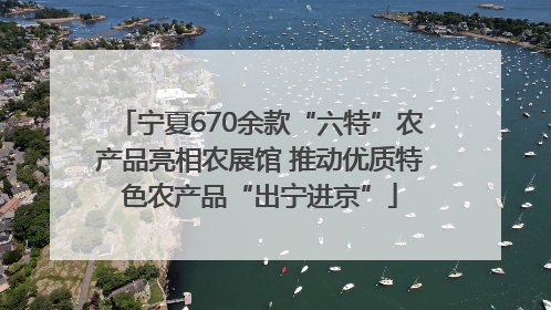 宁夏670余款“六特”农产品亮相农展馆 推动优质特色农产品“出宁进京”