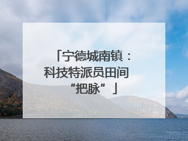 宁德城南镇：科技特派员田间“把脉”