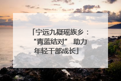 宁远九疑瑶族乡：“青蓝结对” 助力年轻干部成长