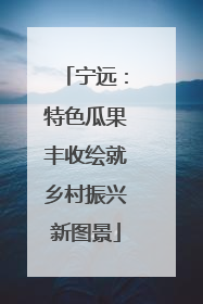 宁远：特色瓜果丰收绘就乡村振兴新图景
