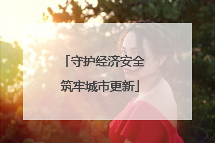 守护经济安全 筑牢城市更新