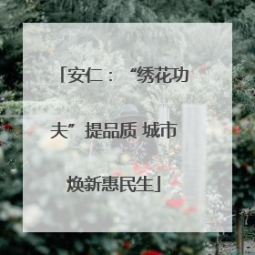 安仁：“绣花功夫”提品质 城市焕新惠民生