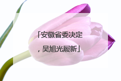 安徽省委决定，吴旭光履新