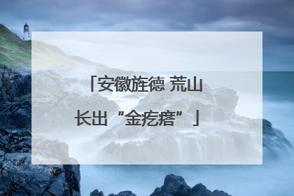 安徽旌德 荒山长出“金疙瘩”