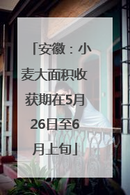 安徽：小麦大面积收获期在5月26日至6月上旬