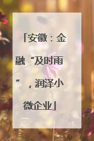 安徽：金融“及时雨”，润泽小微企业