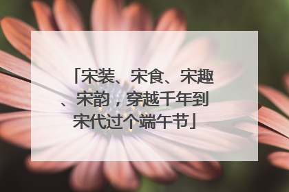 宋装、宋食、宋趣、宋韵，穿越千年到宋代过个端午节