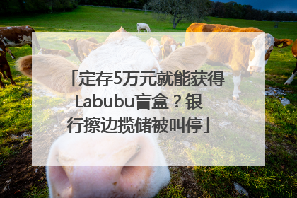 定存5万元就能获得Labubu盲盒？银行擦边揽储被叫停