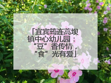 宜宾筠连蒿坝镇中心幼儿园：“豆”香传情，“食”光有爱