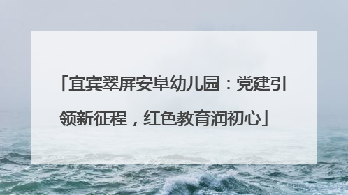 宜宾翠屏安阜幼儿园：党建引领新征程，红色教育润初心