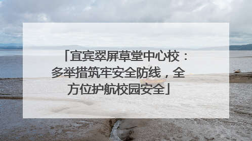 宜宾翠屏草堂中心校：多举措筑牢安全防线，全方位护航校园安全