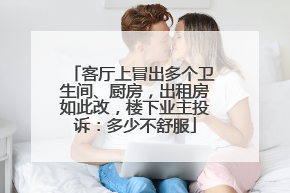 客厅上冒出多个卫生间、厨房，出租房如此改，楼下业主投诉：多少不舒服