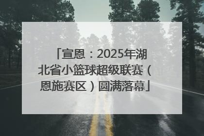 宣恩：2025年湖北省小篮球超级联赛（恩施赛区）圆满落幕