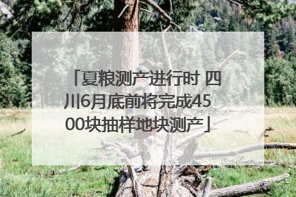 夏粮测产进行时 四川6月底前将完成4500块抽样地块测产