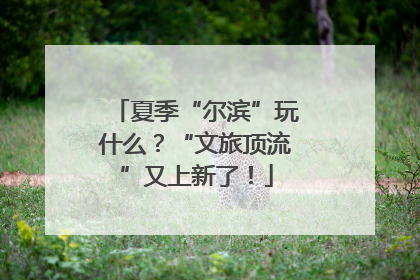 夏季“尔滨”玩什么？“文旅顶流”又上新了！