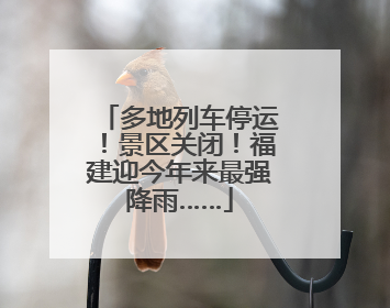 多地列车停运！景区关闭！福建迎今年来最强降雨……