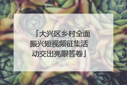 大兴区乡村全面振兴短视频征集活动交出亮眼答卷
