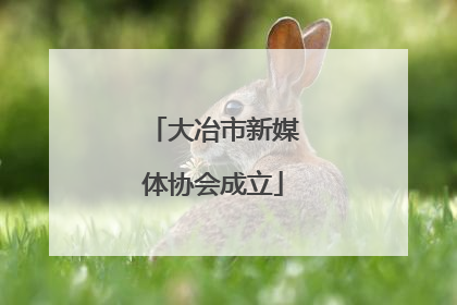 大冶市新媒体协会成立
