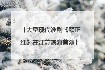 大型现代淮剧《顾正红》在江苏滨海首演