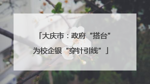 大庆市：政府“搭台”为校企银“穿针引线”