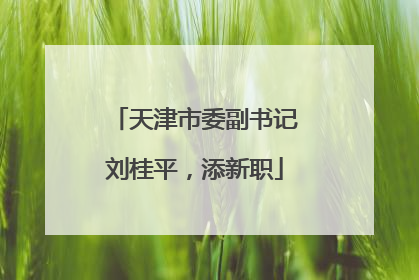 天津市委副书记刘桂平，添新职
