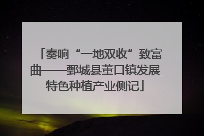 奏响“一地双收”致富曲——鄄城县董口镇发展特色种植产业侧记