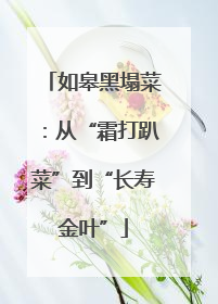 如皋黑塌菜：从“霜打趴菜”到“长寿金叶”