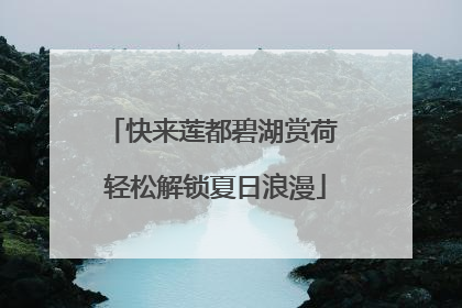 快来莲都碧湖赏荷 轻松解锁夏日浪漫