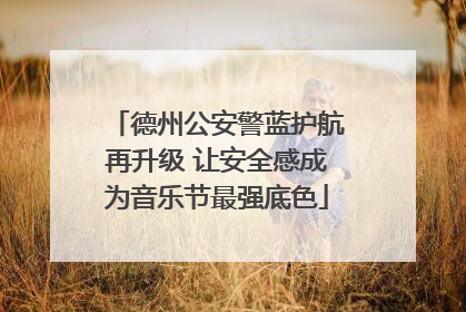 德州公安警蓝护航再升级 让安全感成为音乐节最强底色