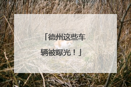 德州这些车辆被曝光！