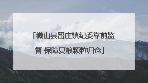 微山县留庄镇纪委靠前监督 保障夏粮颗粒归仓