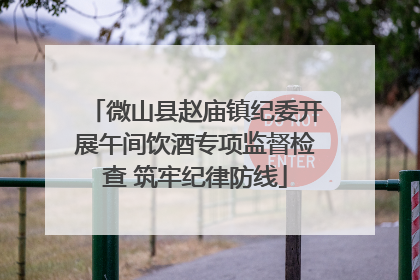 微山县赵庙镇纪委开展午间饮酒专项监督检查 筑牢纪律防线