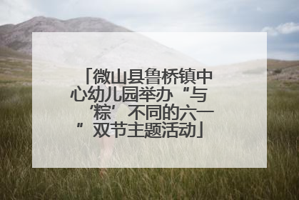 微山县鲁桥镇中心幼儿园举办“与‘粽’不同的六一”双节主题活动