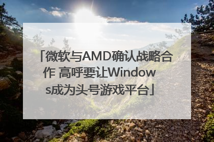 微软与AMD确认战略合作 高呼要让Windows成为头号游戏平台