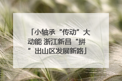 小轴承“传动”大动能 浙江新昌“拼”出山区发展新路