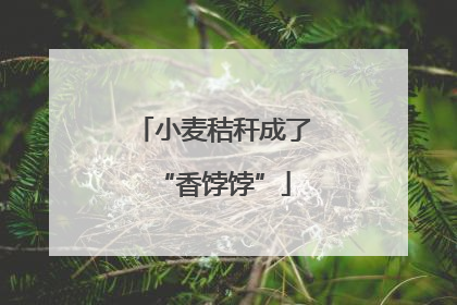 小麦秸秆成了“香饽饽”