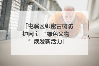 屯溪区织密古树防护网 让“绿色文物”焕发新活力