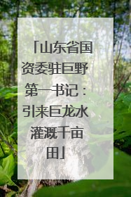 山东省国资委驻巨野第一书记：引来巨龙水 灌溉千亩田