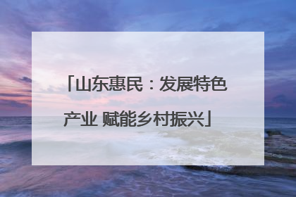 山东惠民：发展特色产业 赋能乡村振兴