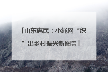 山东惠民：小绳网“织”出乡村振兴新图景