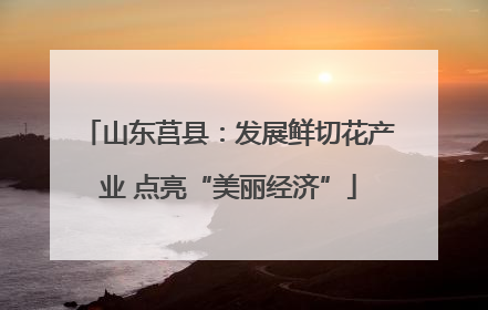 山东莒县：发展鲜切花产业 点亮“美丽经济”