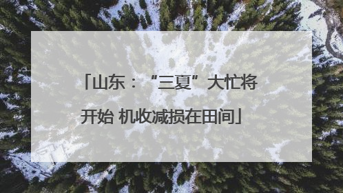 山东：“三夏”大忙将开始 机收减损在田间