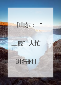 山东：“三夏”大忙进行时
