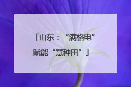 山东：“满格电”赋能“慧种田”