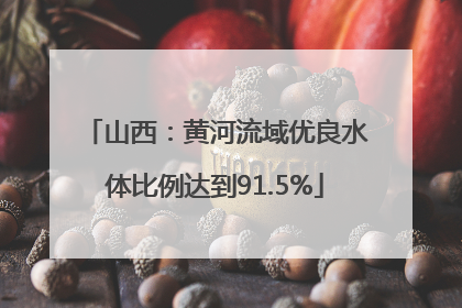 山西：黄河流域优良水体比例达到91.5%