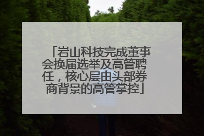 岩山科技完成董事会换届选举及高管聘任，核心层由头部券商背景的高管掌控